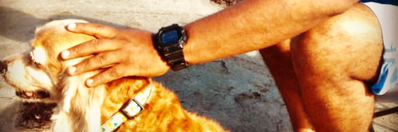 falloduarte's profile banner image