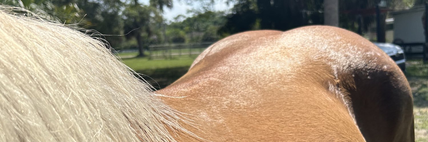 Hgieltrouc_'s profile banner image
