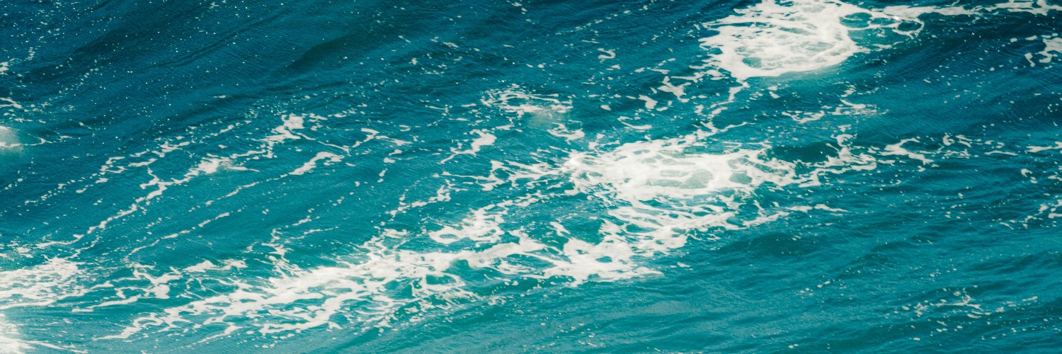 TsunamisInfo's profile banner image