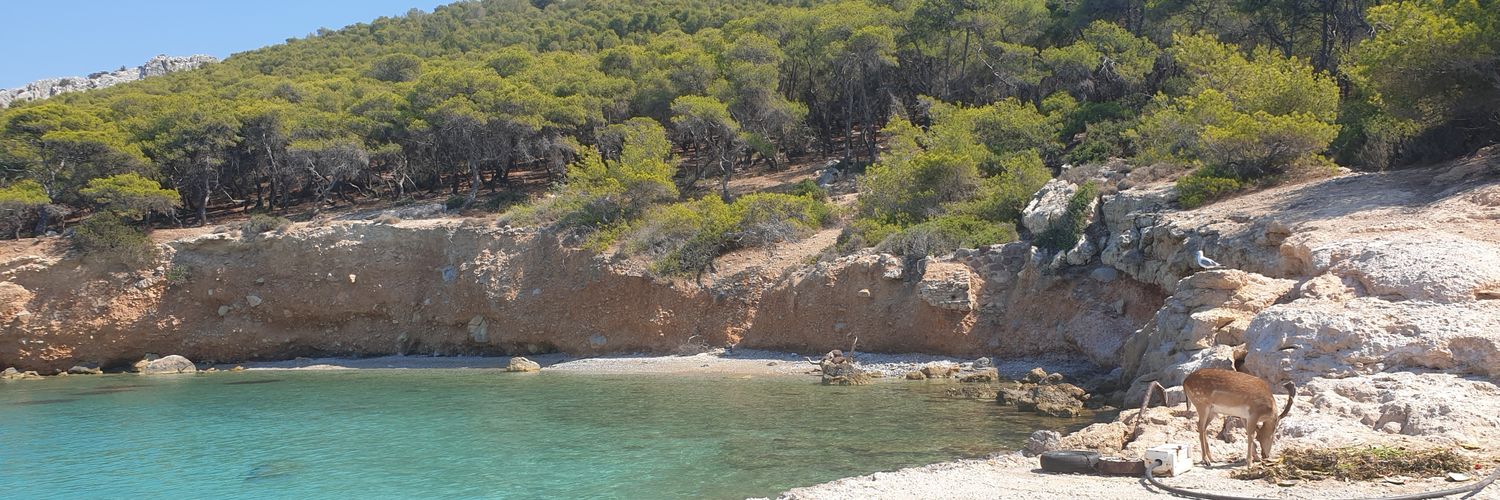 Christina Biamis banner