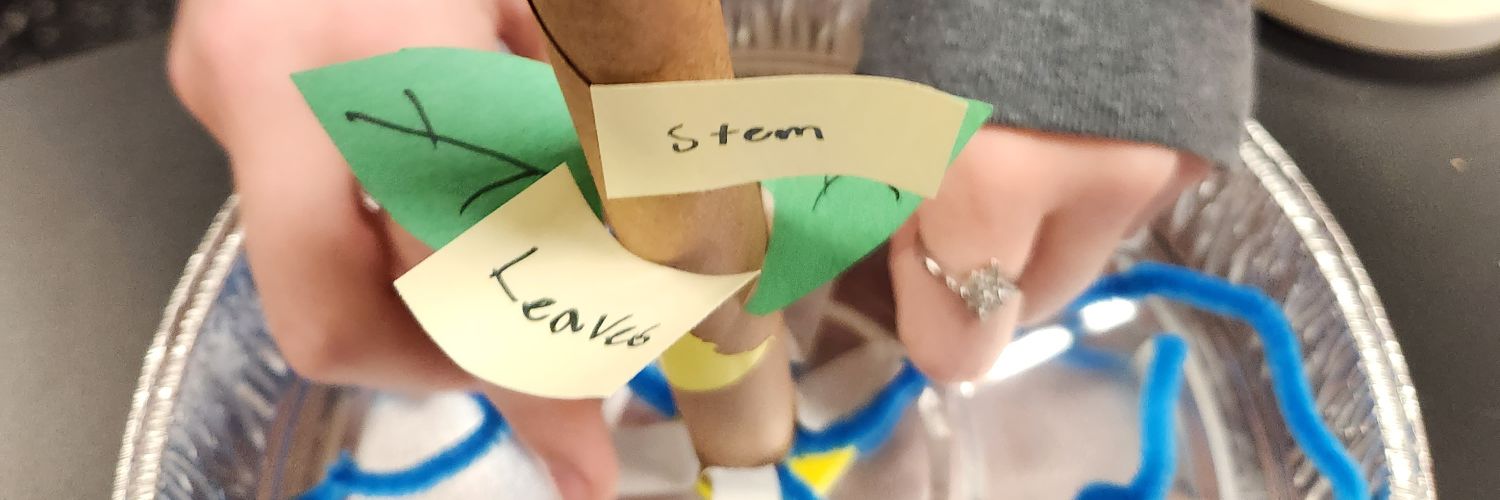 Carey Gerdes M Ed banner