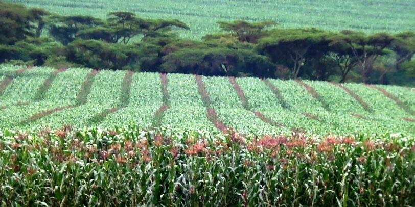 ADCKENYA's profile banner image