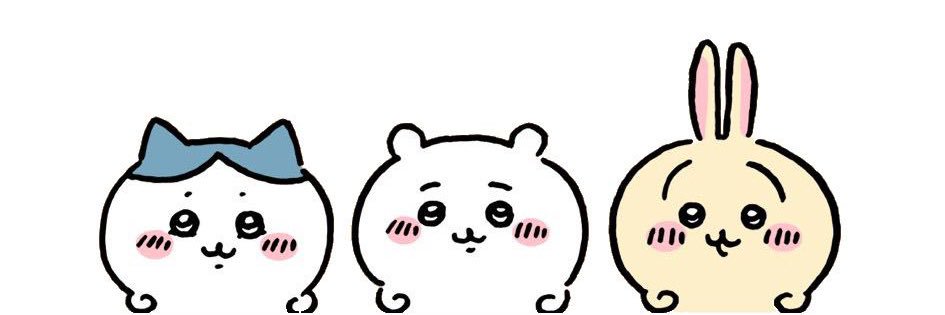 bubu_pi's profile banner image