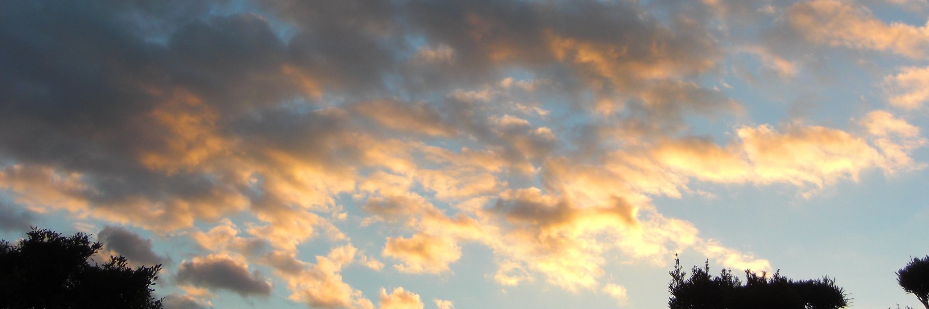 pito4758's profile banner image