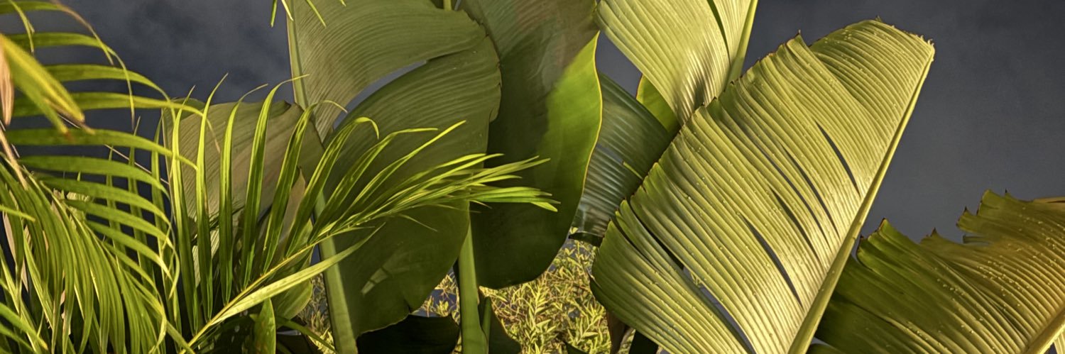wsedgyy's profile banner image