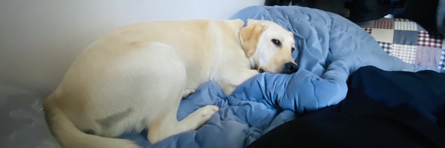 미남씨. 보리애비 banner