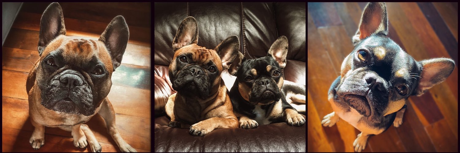 Pinot & Merlot banner