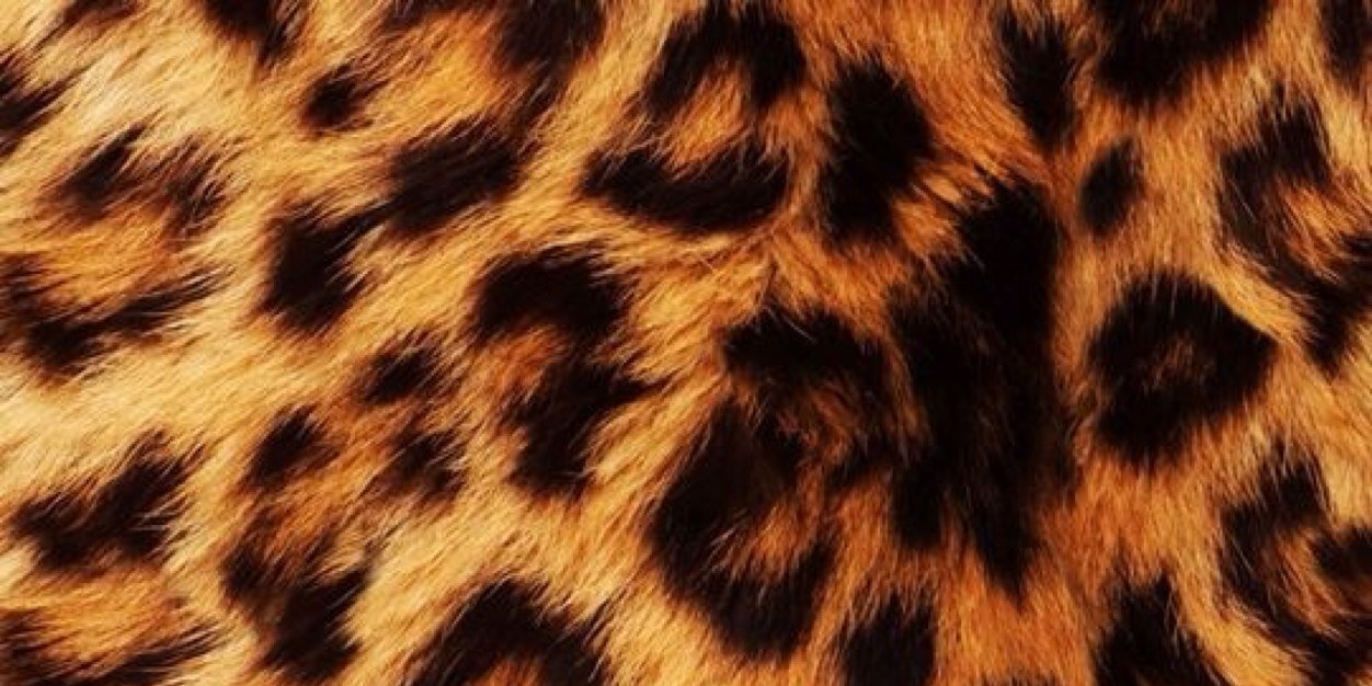 ConyCarroza's profile banner image