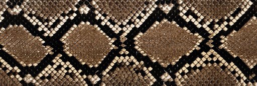 Lotha (celo🔥) banner