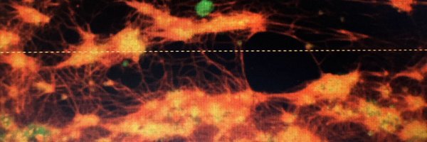 LabMutch Profile Banner