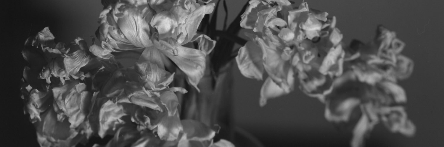 horrorx6's profile banner image