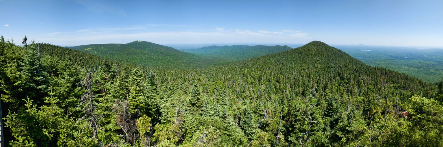 Ministère des Ressources naturelles et des Forêts banner