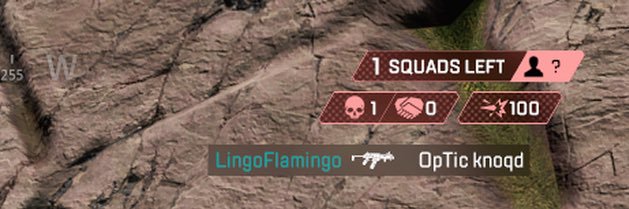 lingoflamingo banner