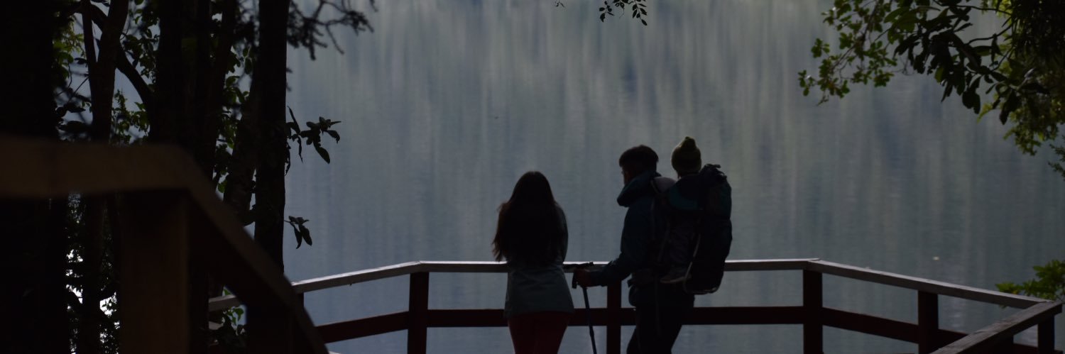 Felipe Ibáñez banner