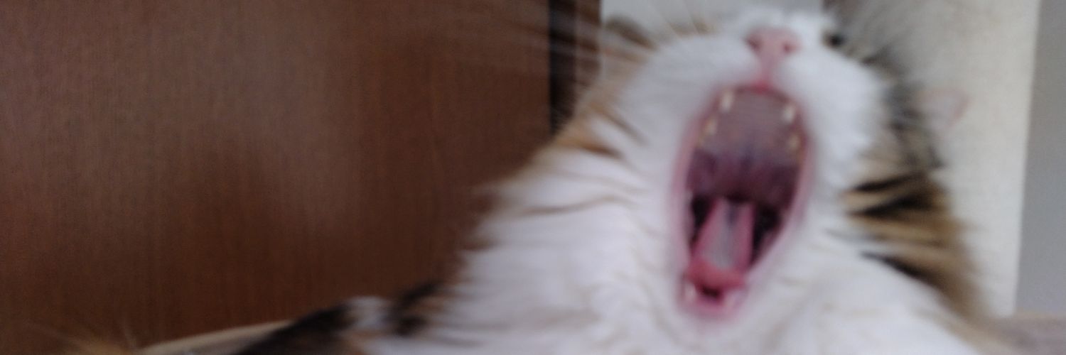 pe_nerope's profile banner image