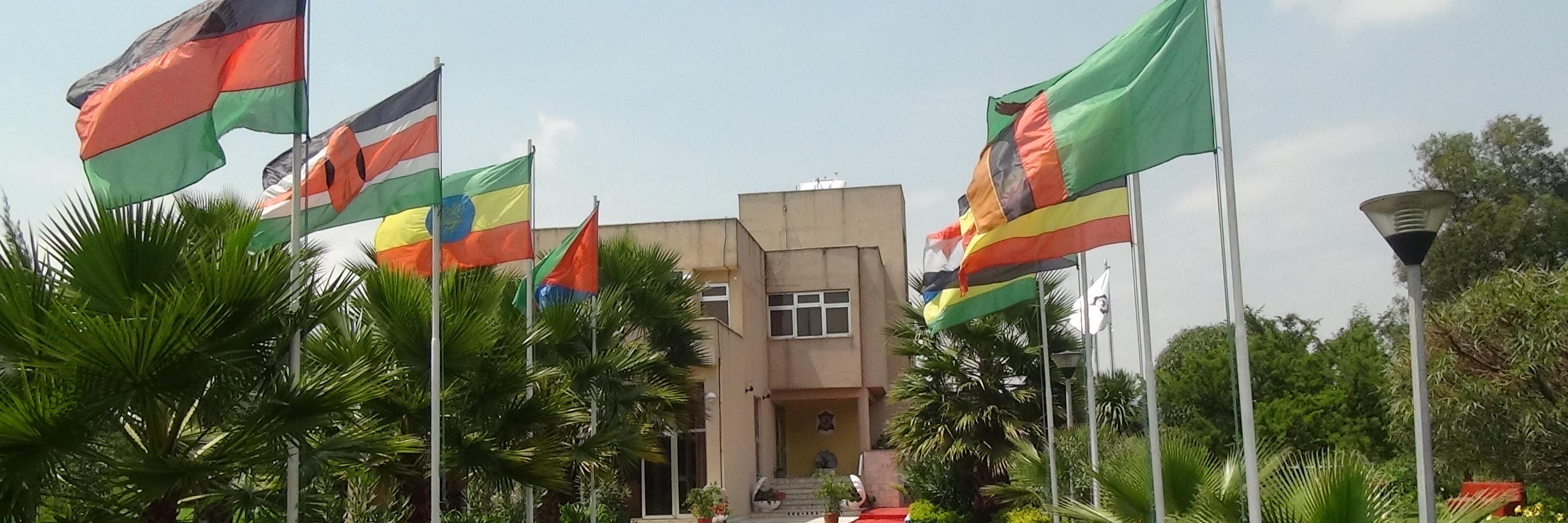 Africa Leather and Leather Products Institute ALLP banner