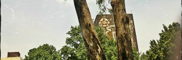 Axel Fernández banner