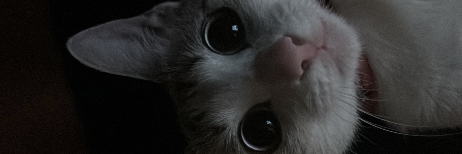 samara banner