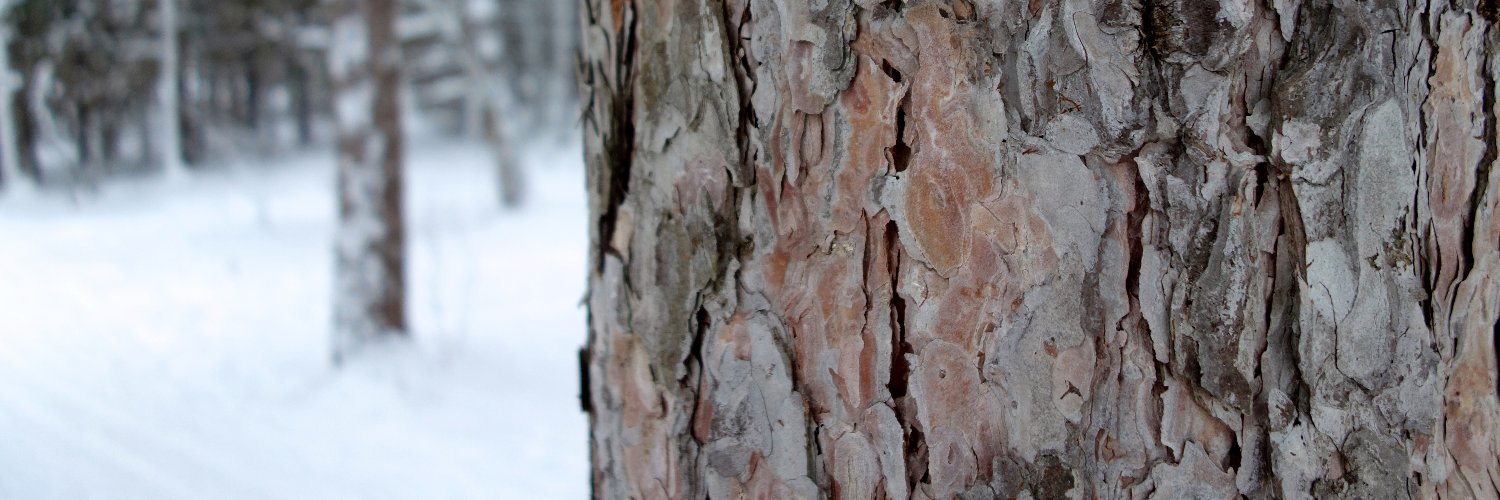 David Akin 🇨🇦 banner