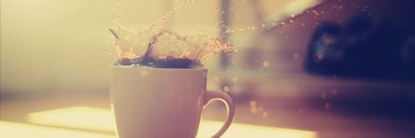 ardadev Profile Banner