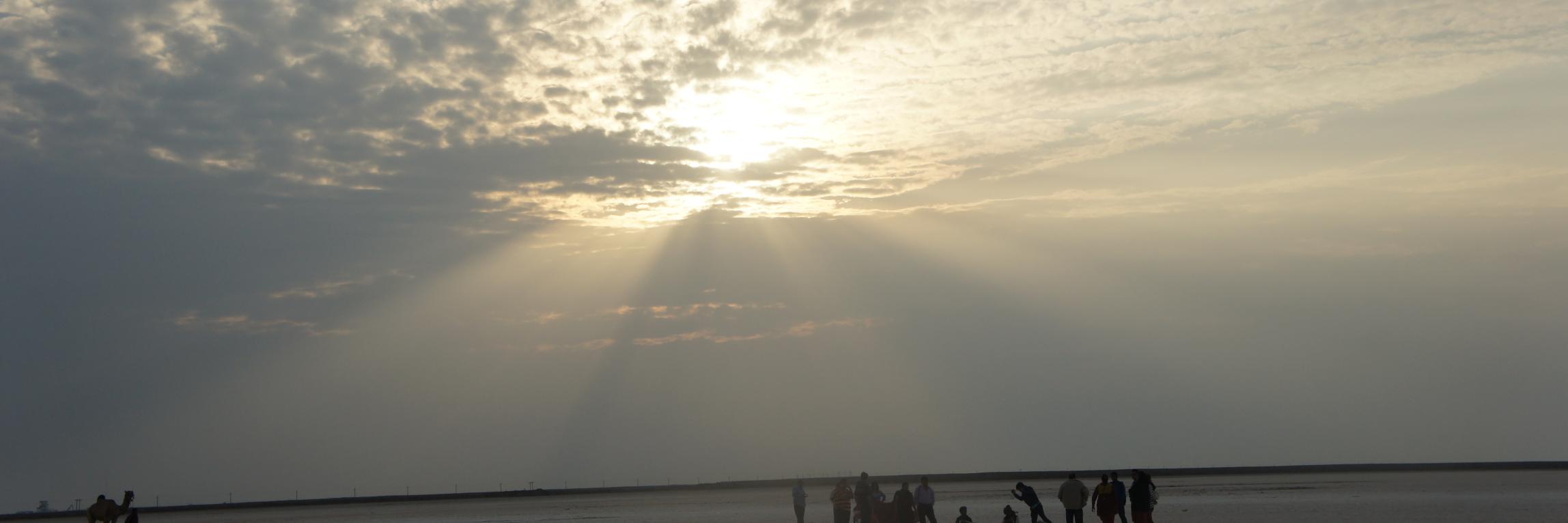 NiyatiShinde's profile banner image