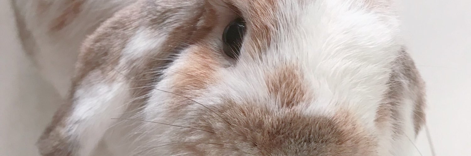 rawikonn's profile banner image