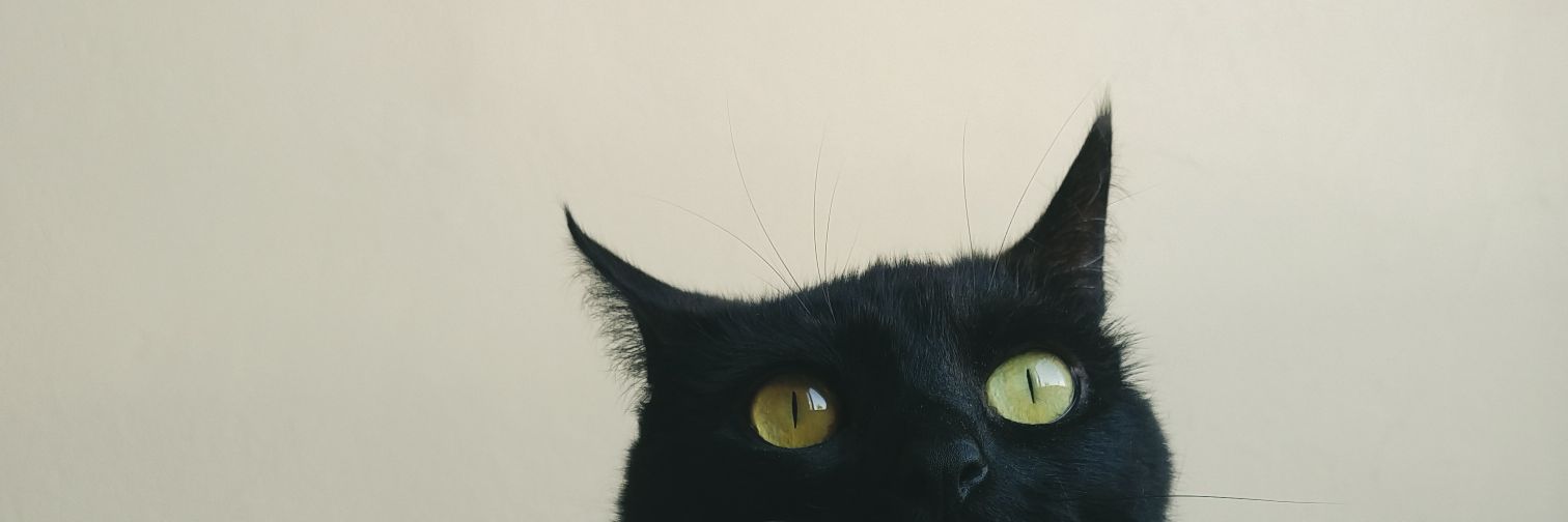 meropen3m's profile banner image