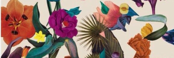AndreaSerey's profile banner image