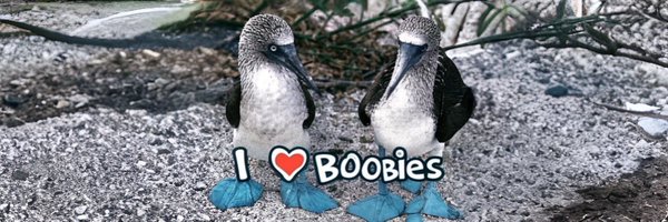 boobdoc01 Profile Banner