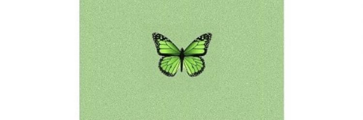_tofunmi's profile banner image