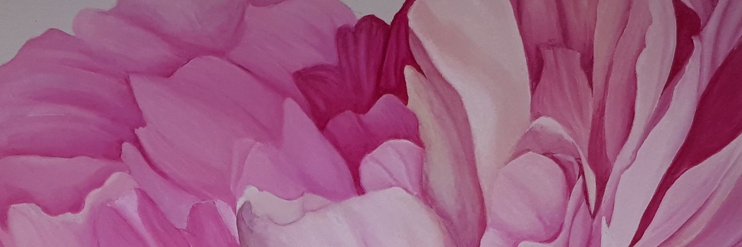 anmesty's profile banner image