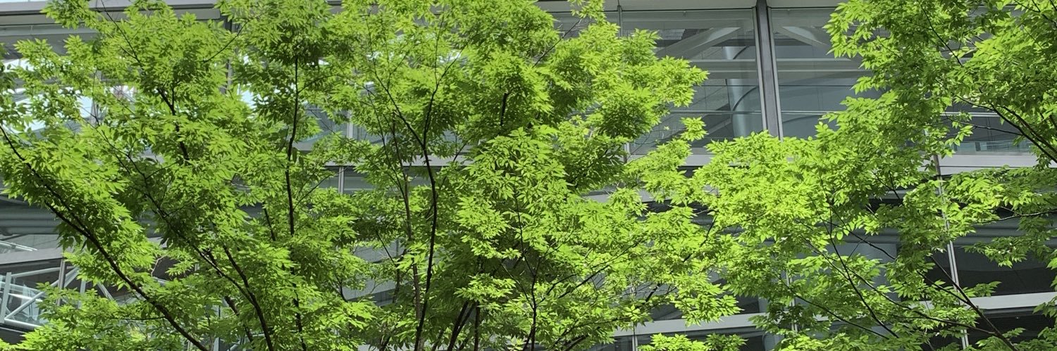 senco48's profile banner image