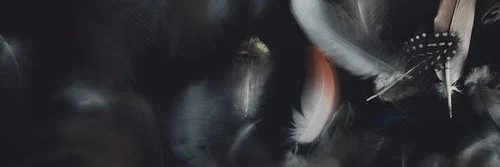 fernandolean277's profile banner image