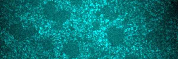 gabriel_neiman Profile Banner