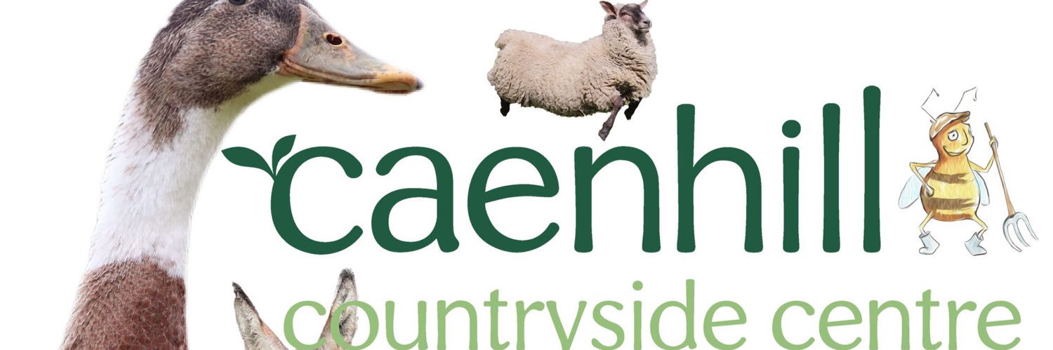 caenhillcc's banner