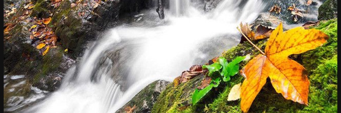 aqoola_14's profile banner image