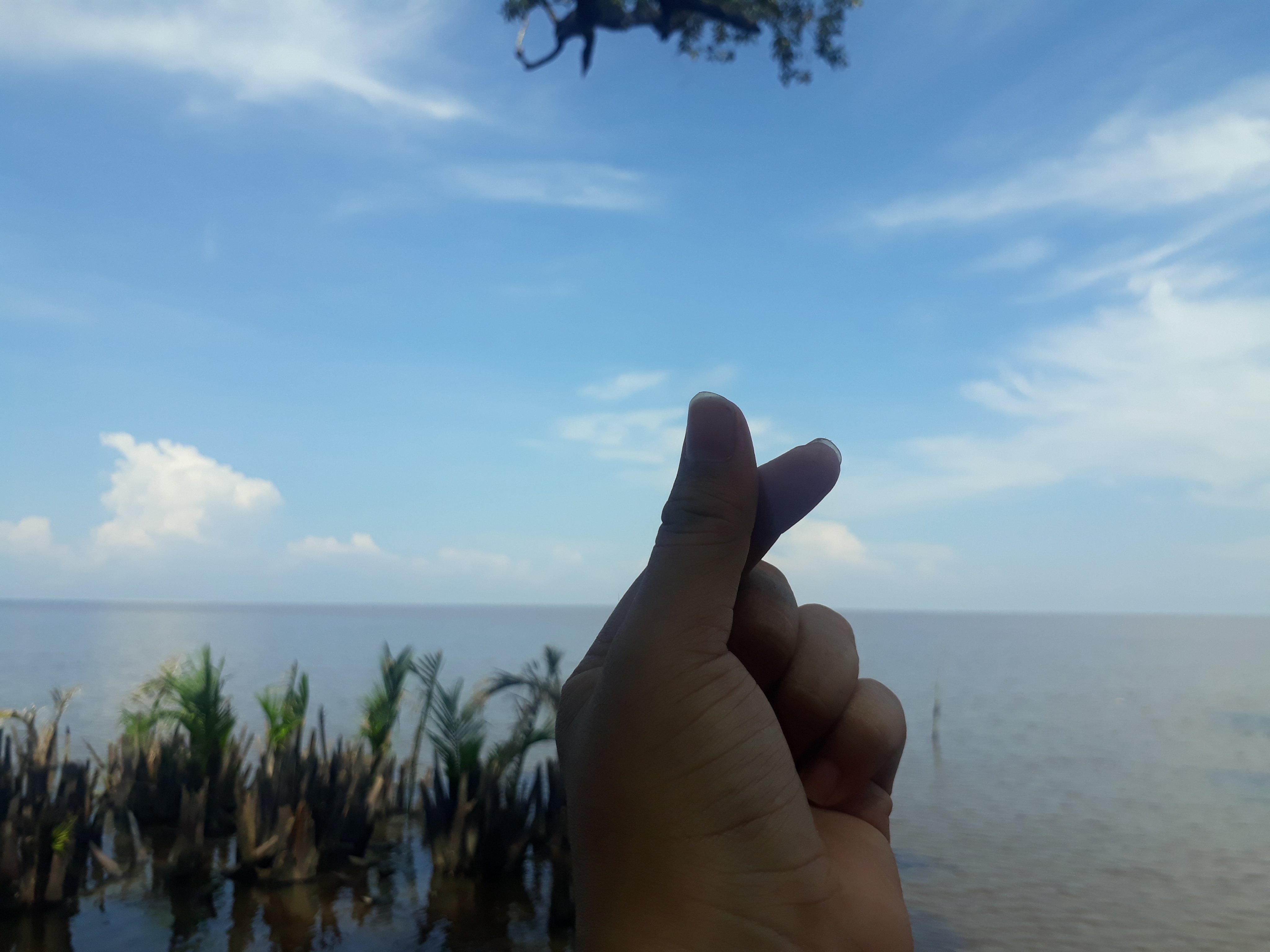 EllsaCy19's profile banner image