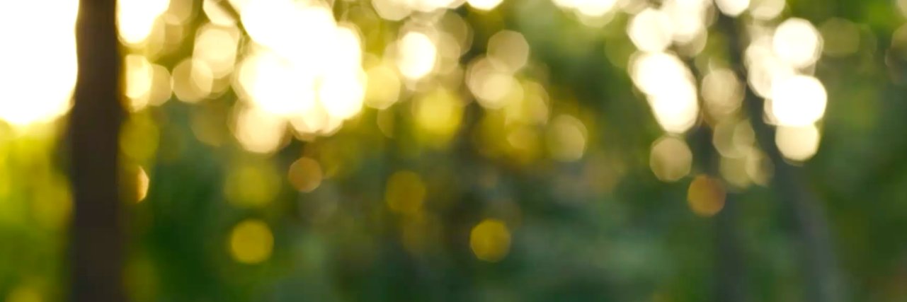 Faye Walsh Drouillard banner