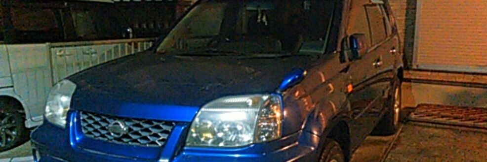 malayan_tapir's profile banner image