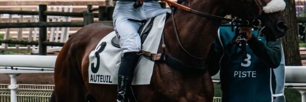 sisigrnn Profile Banner