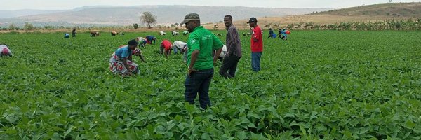 NzirabatinyaMo4 Profile Banner