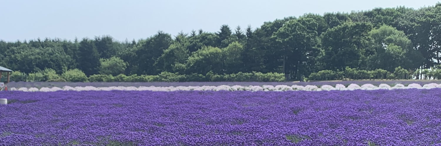 tckms's profile banner image