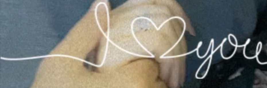 wafa44ali's profile banner image