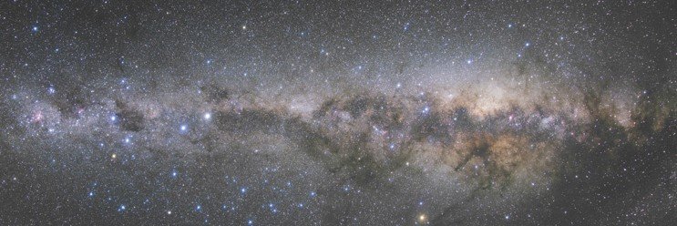 ノヅチ's banner