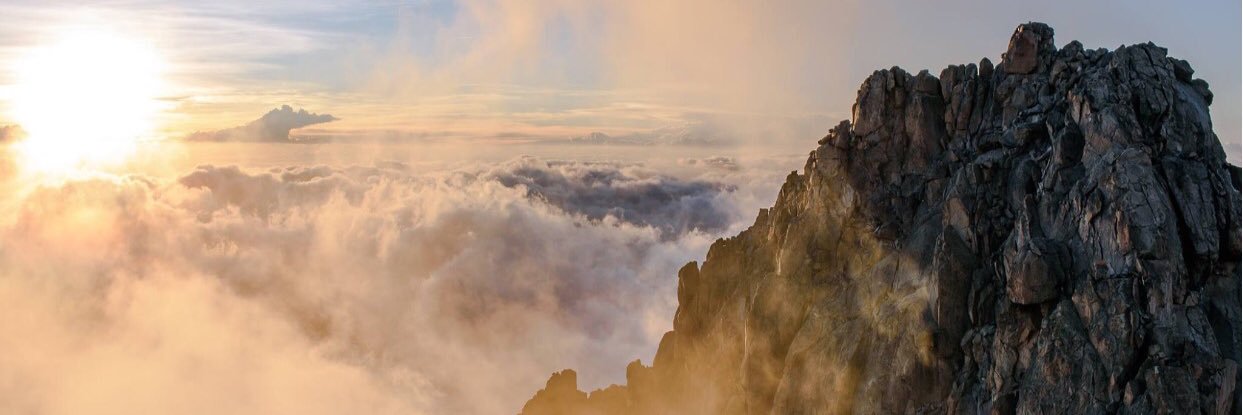 Johan Borgstam banner