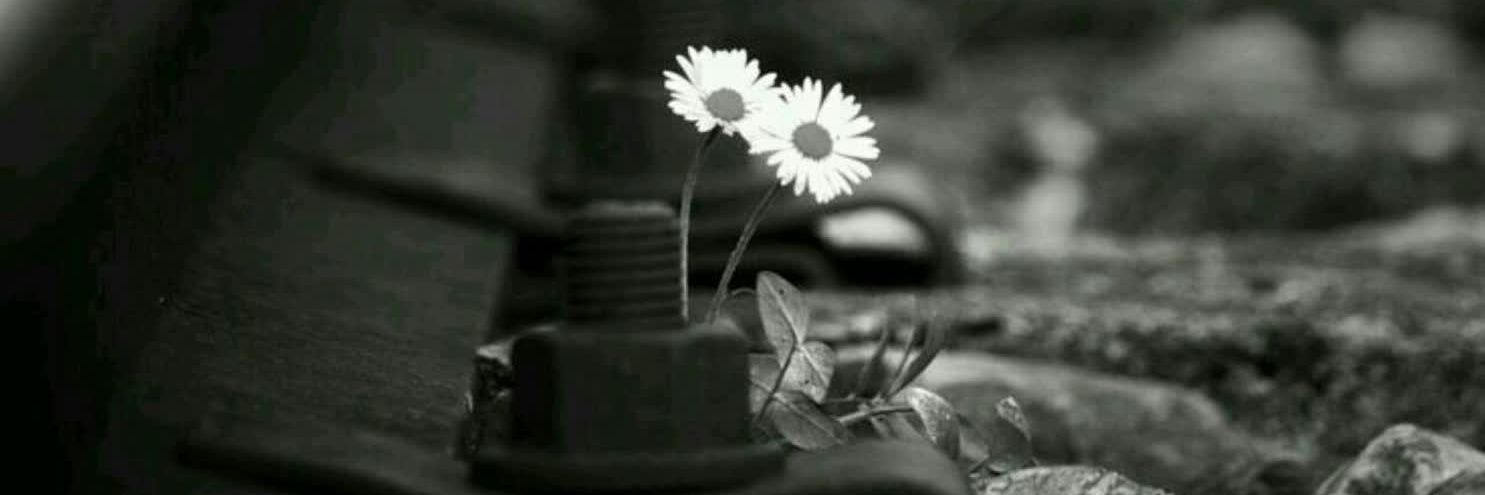MHJa_aJHM's profile banner image