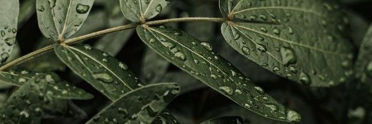 Hannah | Video Editor banner