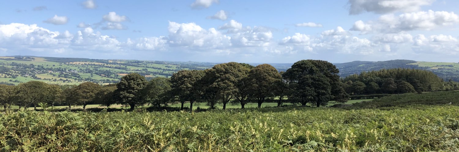 Red Kite Learning banner
