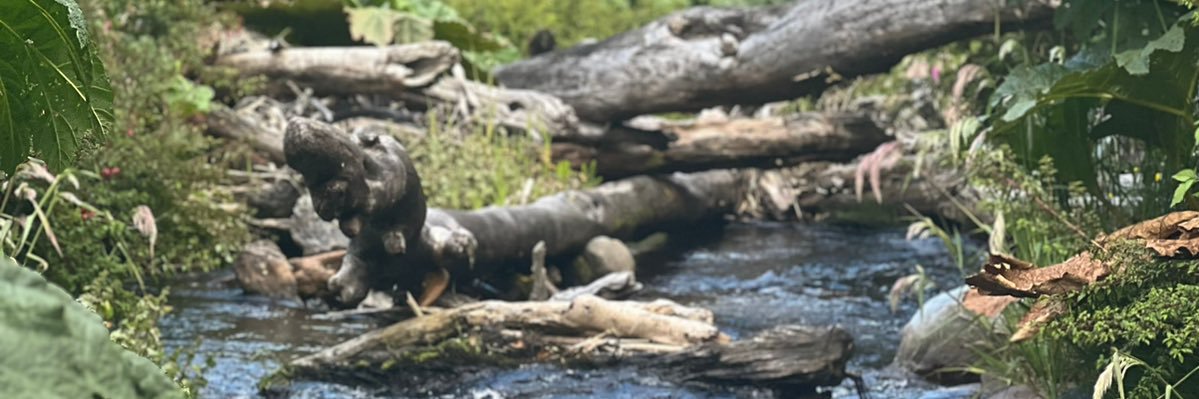 Ivan Arismendi (he/his) 🇨🇱🇺🇸 banner