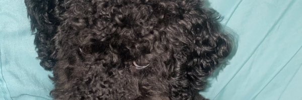 AlanaS2024 Profile Banner